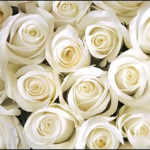 Meet your Posher, Jaelynn